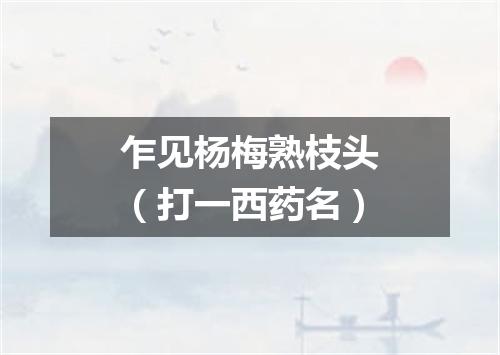 乍见杨梅熟枝头（打一西药名）