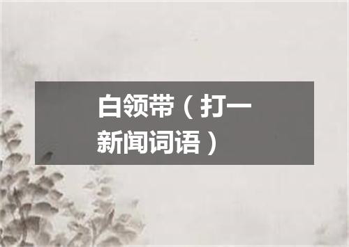 白领带（打一新闻词语）