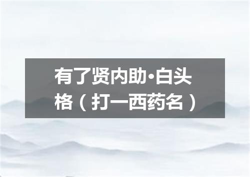 有了贤内助·白头格（打一西药名）