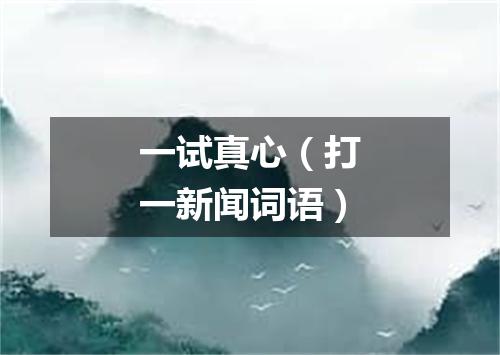 一试真心（打一新闻词语）