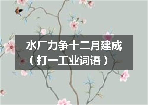 水厂力争十二月建成（打一工业词语）
