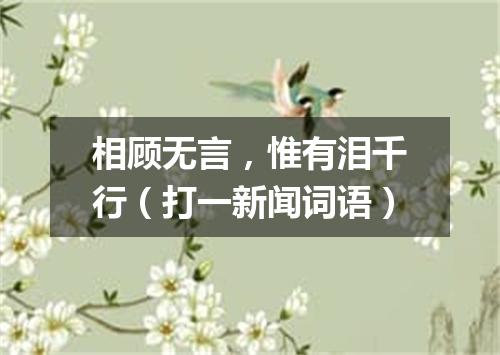 相顾无言，惟有泪千行（打一新闻词语）