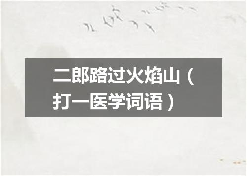 二郎路过火焰山（打一医学词语）