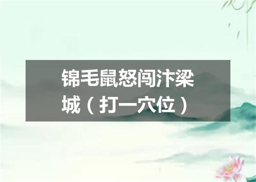 锦毛鼠怒闯汴梁城（打一穴位）