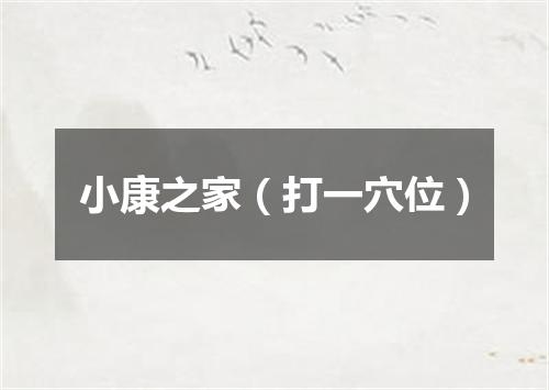 小康之家（打一穴位）