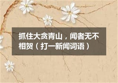 抓住大贪青山，闻者无不相贺（打一新闻词语）