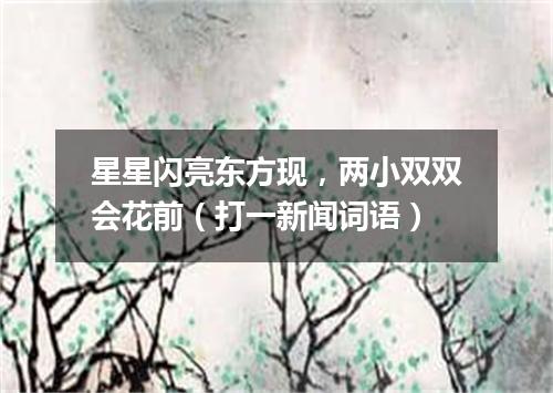 星星闪亮东方现，两小双双会花前（打一新闻词语）