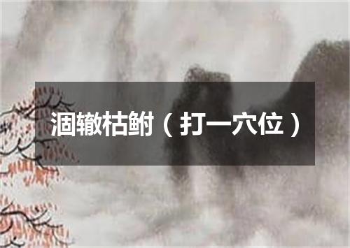 涸辙枯鲋（打一穴位）