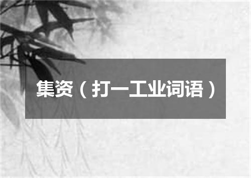 集资（打一工业词语）