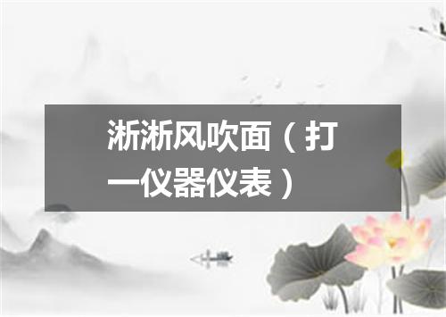 淅淅风吹面（打一仪器仪表）