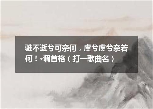 骓不逝兮可奈何，虞兮虞兮奈若何！·调首格（打一歌曲名）