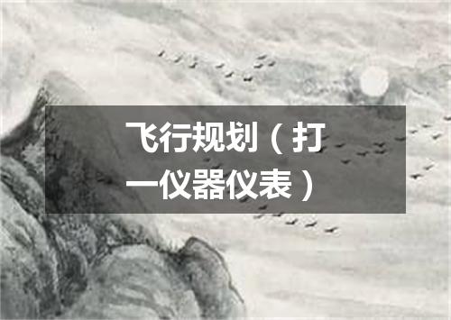 飞行规划（打一仪器仪表）