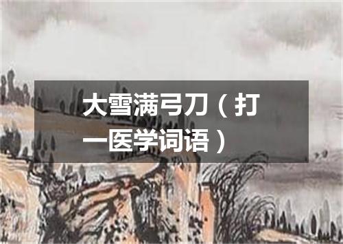 大雪满弓刀（打一医学词语）
