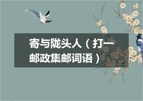 寄与陇头人（打一邮政集邮词语）