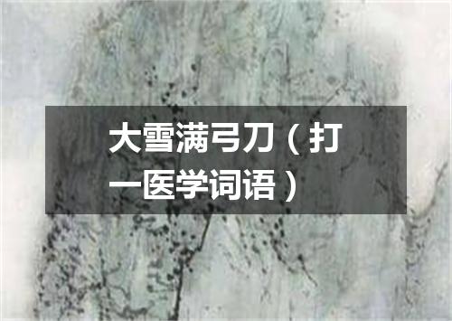 大雪满弓刀（打一医学词语）