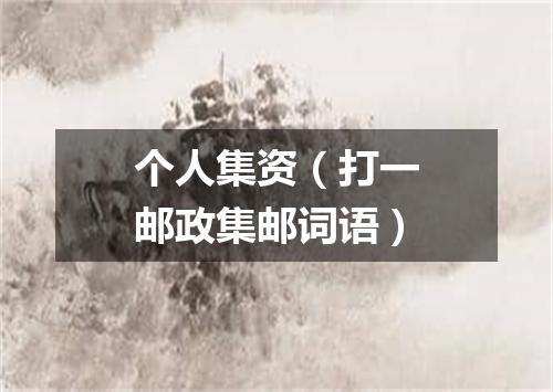 个人集资（打一邮政集邮词语）