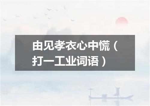 由见孝衣心中慌（打一工业词语）