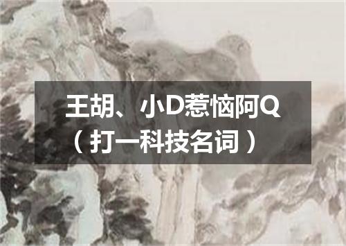 王胡、小D惹恼阿Q（打一科技名词）