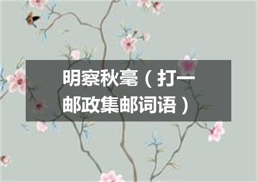 明察秋毫（打一邮政集邮词语）