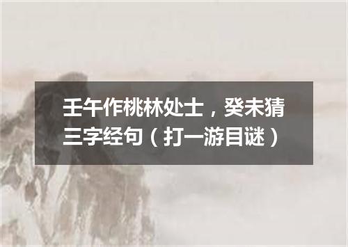 壬午作桃林处士，癸未猜三字经句（打一游目谜）