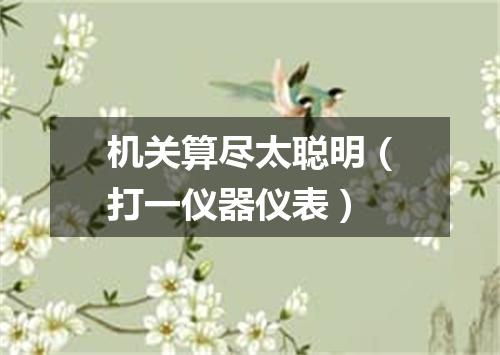 机关算尽太聪明（打一仪器仪表）