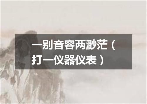 一别音容两渺茫（打一仪器仪表）