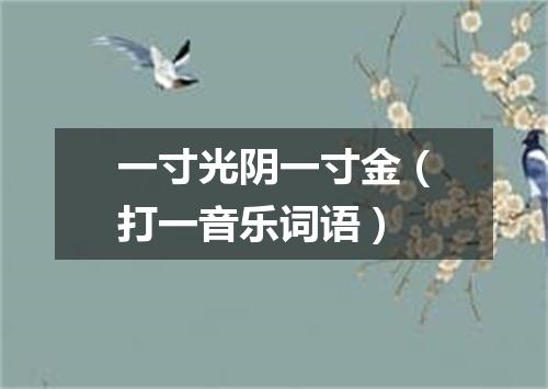 一寸光阴一寸金（打一音乐词语）