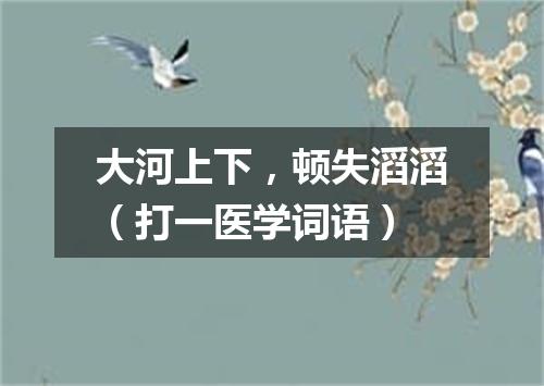 大河上下，顿失滔滔（打一医学词语）