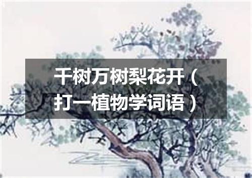 千树万树梨花开（打一植物学词语）
