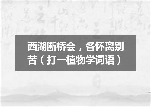 西湖断桥会，各怀离别苦（打一植物学词语）