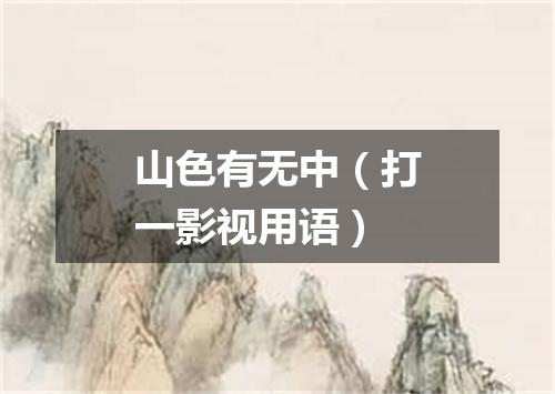 山色有无中（打一影视用语）