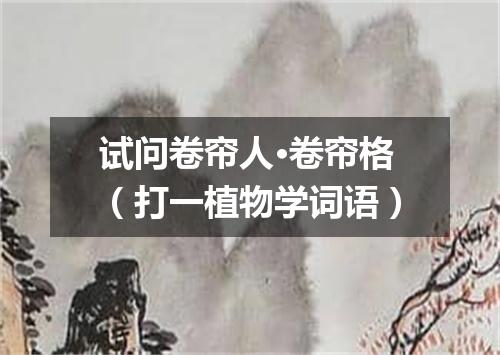试问卷帘人·卷帘格（打一植物学词语）