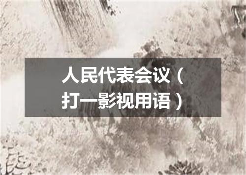 人民代表会议（打一影视用语）