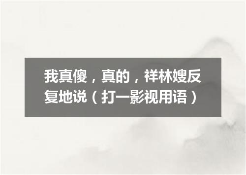 我真傻，真的，祥林嫂反复地说（打一影视用语）