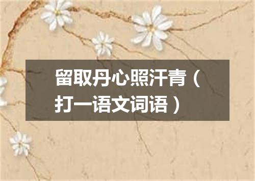 留取丹心照汗青（打一语文词语）