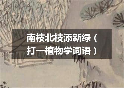 南枝北枝添新绿（打一植物学词语）