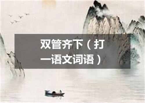 双管齐下（打一语文词语）