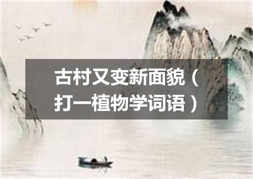 古村又变新面貌（打一植物学词语）