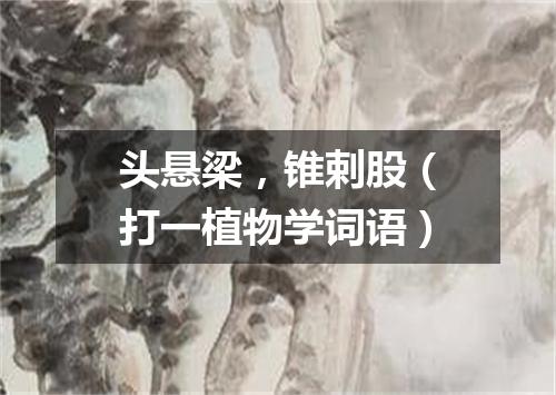 头悬梁，锥剌股（打一植物学词语）