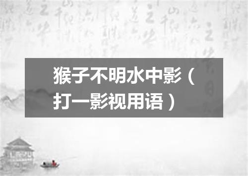 猴子不明水中影（打一影视用语）