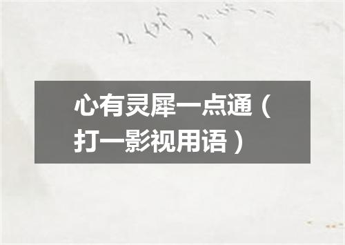 心有灵犀一点通（打一影视用语）