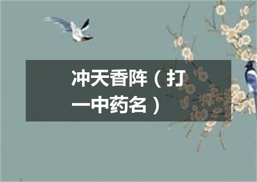 冲天香阵（打一中药名）