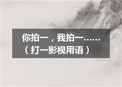你拍一，我拍一……（打一影视用语）