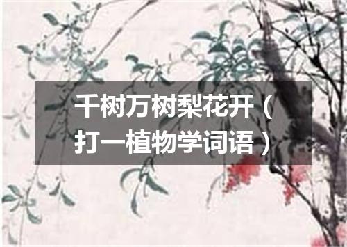 千树万树梨花开（打一植物学词语）