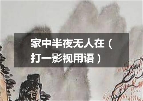 家中半夜无人在（打一影视用语）