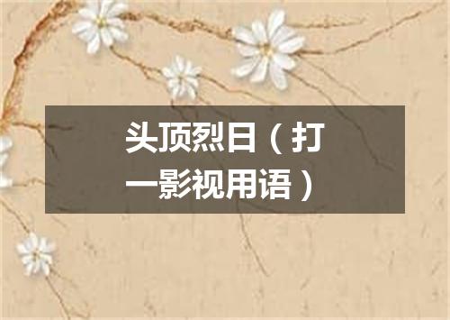 头顶烈日（打一影视用语）