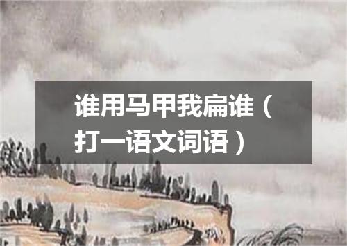 谁用马甲我扁谁（打一语文词语）