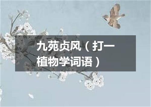九苑贞风（打一植物学词语）