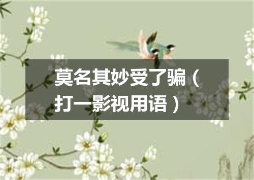 莫名其妙受了骗（打一影视用语）