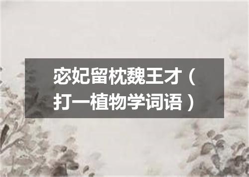 宓妃留枕魏王才（打一植物学词语）